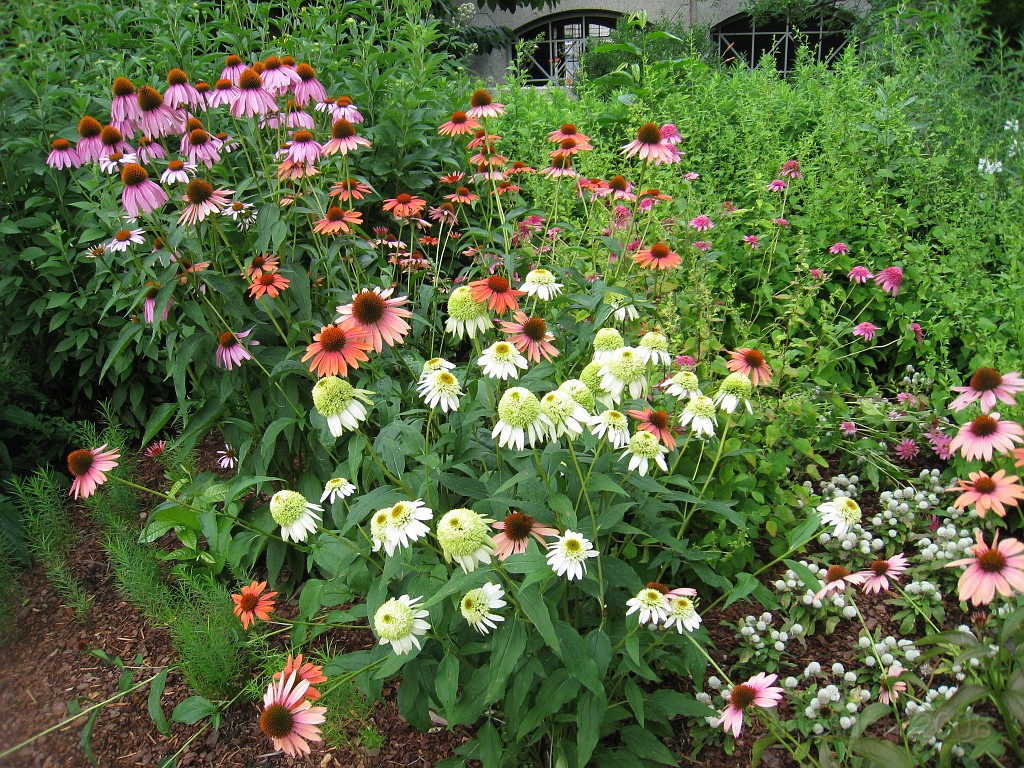 Wash DC 2009 3155.jpg - A 4th of July trip to Washington DC in 2009 to see the museums, memorials and fireworks.